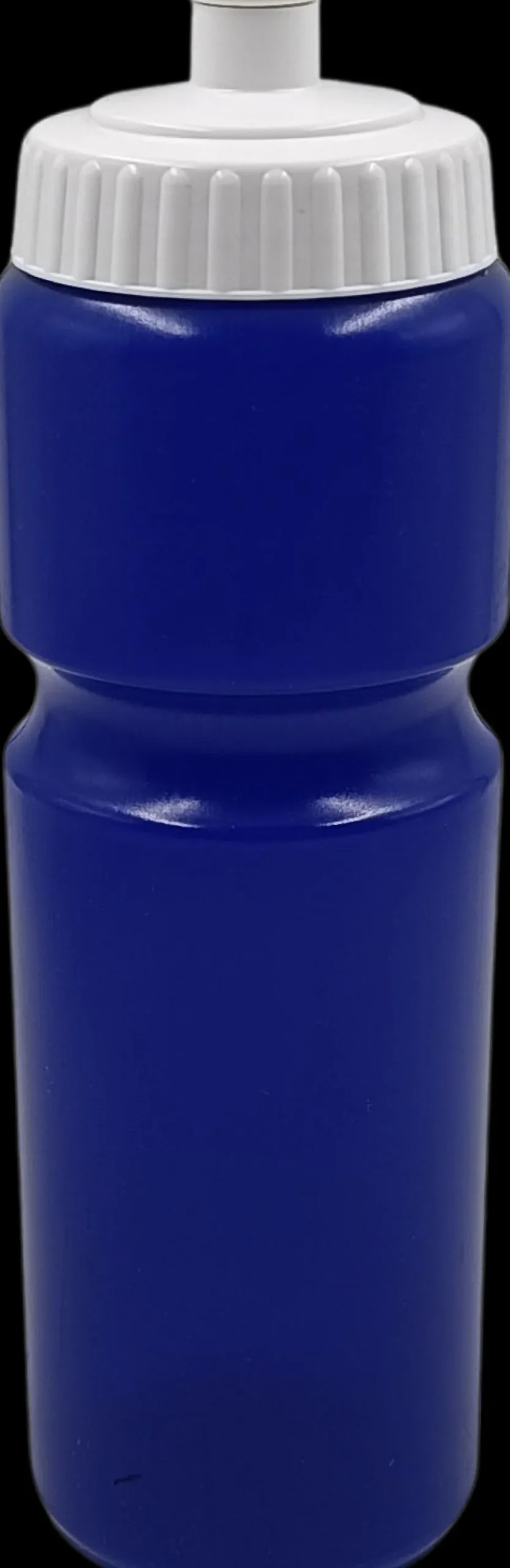 blauwe bidon 750ml