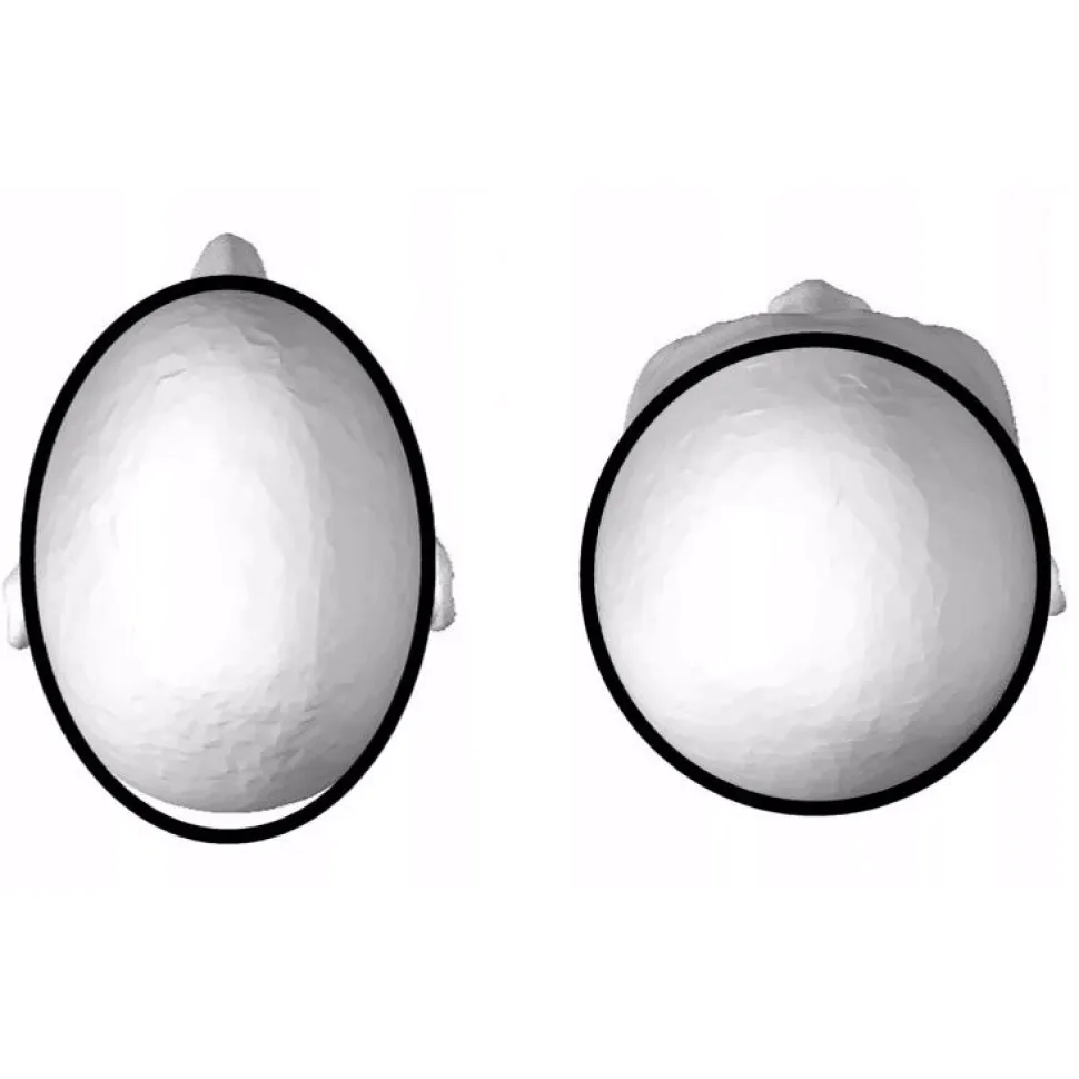 Cádomotus pads voor Alpha helmen